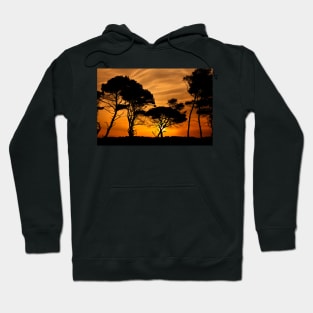 "African" sunset @ Kaiafas beach Hoodie